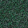 MIYUKI Round Rocailles Beads SEED-X0054-RR4507-2