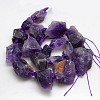 Natural Gemstone Amethyst Beads Strands G-L159-B-06C-3