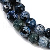 Natural Fire Crackle Agate Beads Strands G-C082-A01-31-4