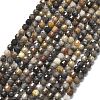 Natural Larvikite Beads Strands G-A260-A23-01-2