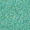 11/0 Grade A Round Glass Seed Beads SEED-N001-E-320-2