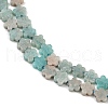 Natural Amazonite Beads Strands G-B138-C10-01-4