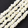 Natural Sea Shell Beads Strands SSHEL-S278-132-1