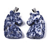 Carved Natural Sodalite Pendants G-N0327-002F-2