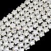 Natural Quartz Crystal Beads Strands G-P573-C03-01-2