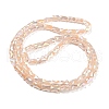 AB Color Plated Glass Beads Strands EGLA-P051-06B-B08-2