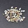 Dyed Natural Freshwater Shell Chips Beads SHEL-O001-17B-1
