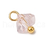 Electroplate Glass Charms PALLOY-JF04004-6