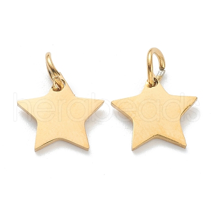 (Defective Closeout Sale:Scratched Surface)304 Stainless Steel Charms STAS-XCP0001-33G-1