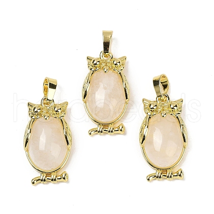 Natural Quartz Crystal Pendant KK-F887-02G-18-1