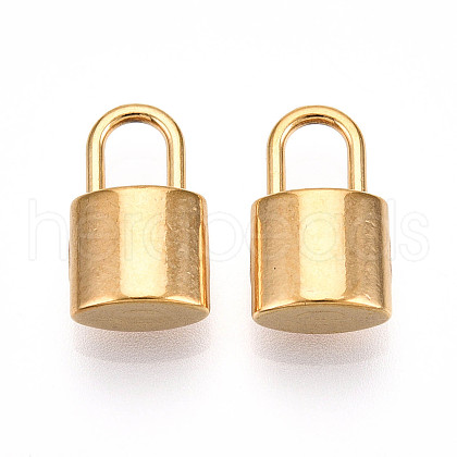 304 Stainless Steel Charms STAS-N109-116G-1
