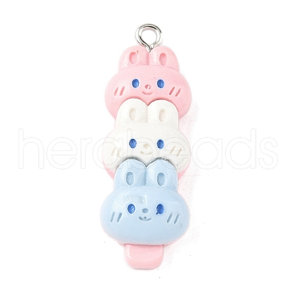Animal Theme Resin Pendants RESI-V005-001B-1