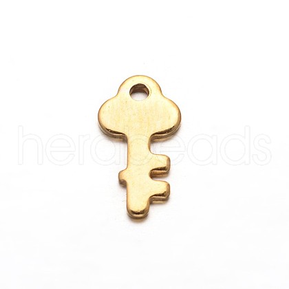 Ion Plating(IP) Key 304 Stainless Steel Charms STAS-M208-18-1