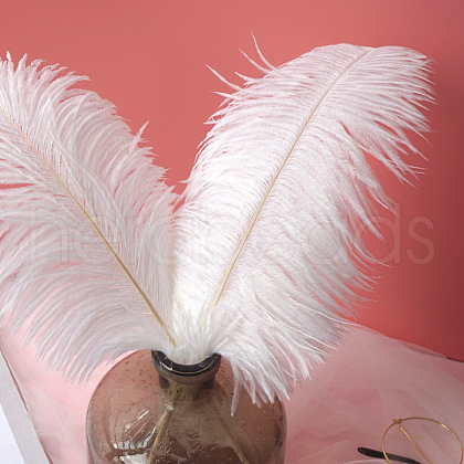 Ostrich Feather Ornament Accessories FEAT-PW0001-005D-1