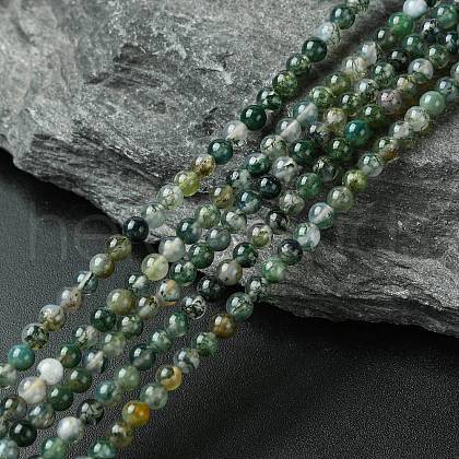 Natural Moss Agate Bead Strands G-K146-07-3mm-1