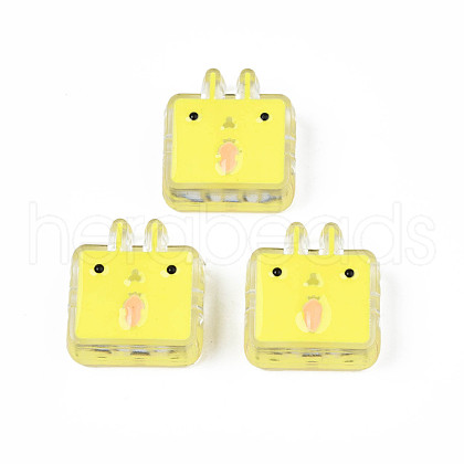 Transparent Acrylic Beads ACRC-S039-10C-1