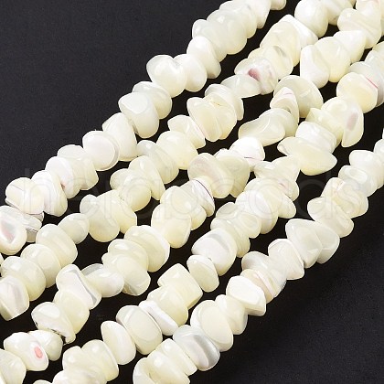 Natural Sea Shell Beads Strands SSHEL-S278-132-1