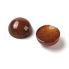 Natural Red Agate Cabochons G-B082-07B-02-2
