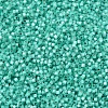 MIYUKI Delica Beads SEED-X0054-DB0627-3
