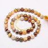 Natural Crazy Lace Agate Beads Strands G-G542-8mm-10-2