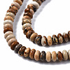 Natural Picture Jasper Beads Strands G-S366-094-3