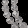 Natural Quartz Crystal Beads Strands G-T047-A01-01-4