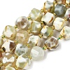Natural Fire Crackle Agate Beads Strands G-U023-A16-02-2