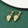 Shell Shape & Starfish & Dolphin & Fish Brass Dangle Stud Earrings EJEW-Z115-02G-3