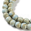Natural Rainbow Alashan Agate Beads Strands G-NH0022-A01-01-4