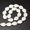 Natural Trochid Shell/Trochus Shell Beads Strands SSHEL-K009-01-A-2