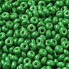 Baking Paint Glass Seed Beads SEED-B001-02A-05-3