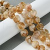 Natural Citrine Beads Strands G-Q010-A24-01-2