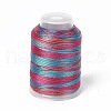 3-Ply Segment Dyed Nylon Thread Cord NWIR-F011-01F-1