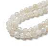 Natural Moonstone Beads Strands G-F736-01-AB-4