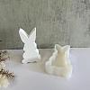 Rabbit Display Decoration DIY Silhouette Silicone Molds SIMO-H142-02B-1