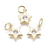 Brass Micro Pave Cubic Zirconia Charms X-ZIRC-F111-09G-08-1