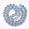 Electroplate Glass Beads Strands EGLA-S176-6A-D01-2