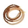 2 Colors Transparent Glass Beads Strands GLAA-G093-01J-2