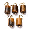 Natural Tiger Eye Column Charms with 304 Stainless Steel Jump Rings G-Q032-01A-1