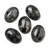 Natural Larvikite Cabochons G-C115-01A-40-1