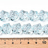 Transparency Glass Beads Strands GLAA-T023-12D-4