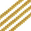 Metallic Polyester Ribbon OCOR-WH0067-04A-1