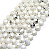 Natural Rainbow Moonstone Beads Strands G-C116-A112-01-2