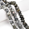 Natural Labradorite Beads Strands G-N347-09A-11-1