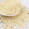 Baking Paint Glass Seed Beads SEED-S042-15B-25-1