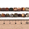 Natural Picasso Jasper/Polychrome Jasper Beads Strands G-N346-04A-05-5