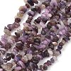 Natural Lepidolite/Purple Mica Stone Beads Strands G-Z081-A01-2