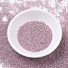 MIYUKI Delica Beads SEED-X0054-DB0256-2
