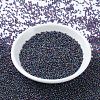 MIYUKI Round Rocailles Beads X-SEED-G007-RR0333-2