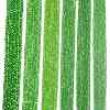 Electroplate Glass Beads Strands EGLA-A044-T6mm-A11-2